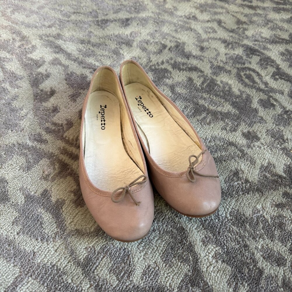 Repetto Leather Ballet Flats